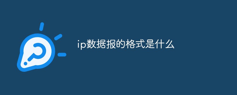 ip数据报的格式是什么