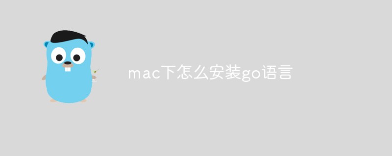 mac下怎么安装go语言